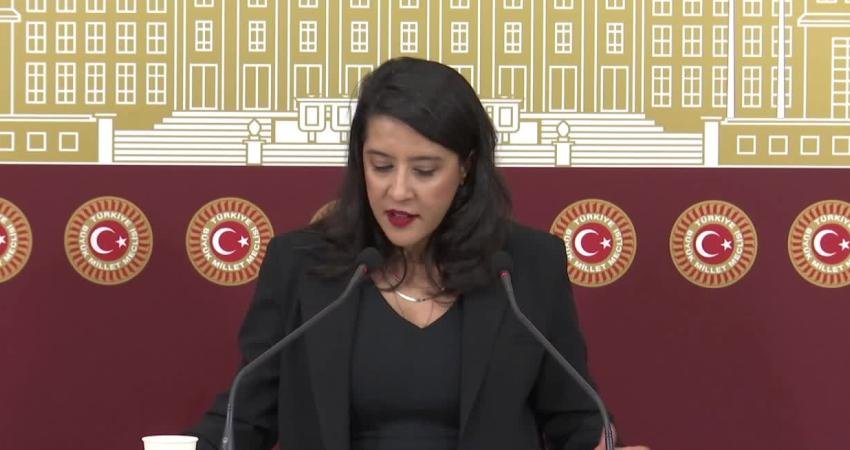  Emek Partisi (EMEP) Gaziantep Milletvekili Sevda Karaca, "halkı yanıltıcı bilgiyi alenen