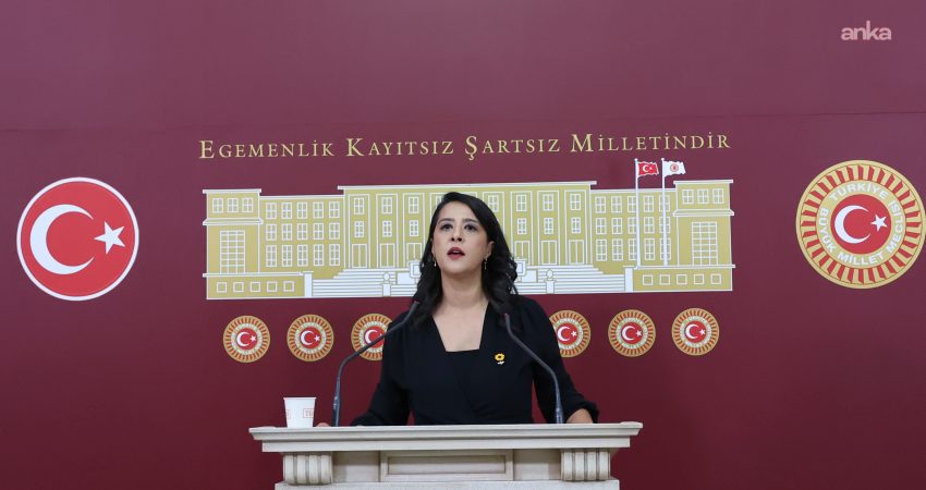 EMEP Gaziantep Milletvekili Sevda Karaca, Ankara’nın Mamak ilçesinde 4,5 ay