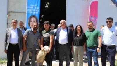 Eskişehir Büyükşehir Belediyesi ve Alpu Belediyesi iş birliğiyle yürütülen küçükbaş