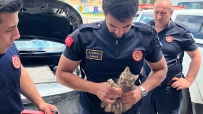 Eskişehir Büyükşehir Belediyesi İtfaiye Dairesi Başkanlığı ekipleri, bir aracın motor