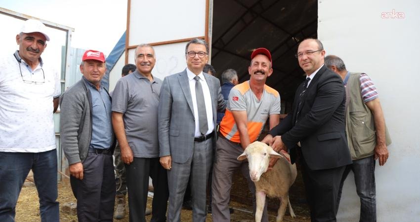 Eskişehir Büyükşehir ve Seyitgazi Belediyeleri’nden üreticilere damızlık koç desteği Eskişehir Büyükşehir Belediyesi ile Seyitgazi Belediyesi iş birliğinde yürütülen proje