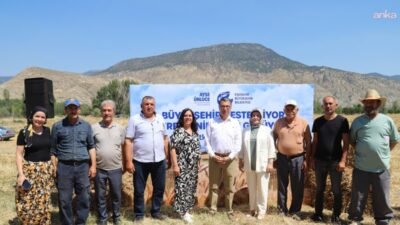 Eskişehir Büyükşehir Belediyesi, hayvancılıkla uğraşan üreticilere yönelik yem bitkisi balyası