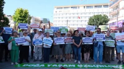 Eskişehir Doğa ve Yaşam Platformu Üyesi Avukat Mert Yedek, Alpagut