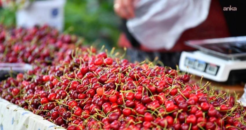 Fethiye Belediyesi ve Nif Yörükleri Kültür Dayanışma Derneği tarafından düzenlenen