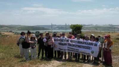 Çevre mühendisleri, Ekolojik Yıkımla Mücadele Haftası kapsamında son dönemde betonlaşmanın