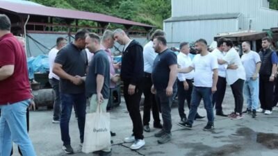 Genel Maden İşçileri Sendikası Genel Başkanı Hakan Yeşil, seçim süreci,