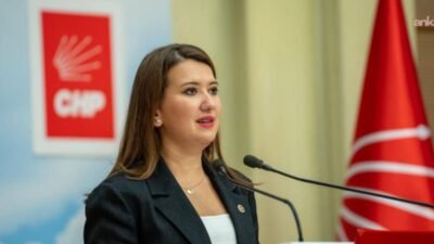 CHP İzmir Milletvekili Gökçe Gökçen, hakkında ortaya atılan iddialara yanıt