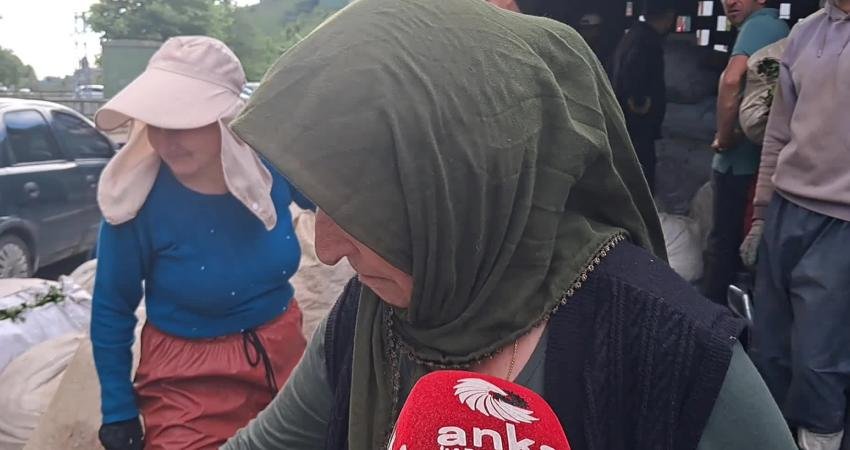 Artvin’in Hopa ilçesi Yoldere köyündeki çay üreticileri, ÇAYKUR’un kontenjan uygulamasına
