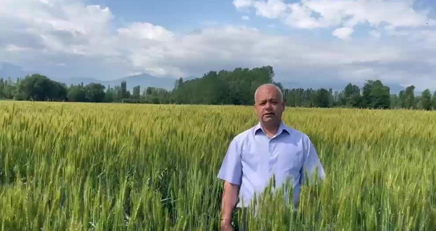 Iğdır Ziraat Odası Başkanı Bağrı’dan TMO’nun hububat alım fiyatına tepki: “Fiyatlar revize edilmeli” Iğdır Ziraat Odası Başkanı Turgay Bağrı, Toprak Mahsulleri Ofisi’nin 2026