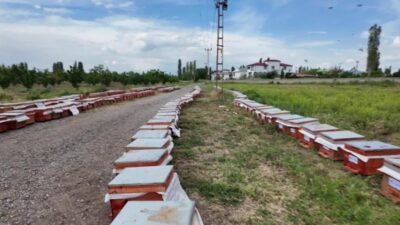 Iğdır İl Tarım ve Orman Müdürlüğü tarafından yürütülen "Iğdır'da Kovanlardan