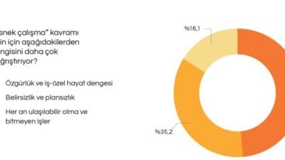 İstanbul Büyükşehir Belediyesi’ne (İBB) bağlı İstanbul Planlama Ajansı (İPA) “Çalışma