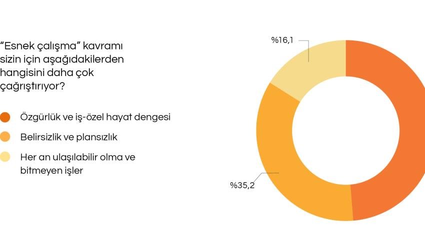 İstanbul Büyükşehir Belediyesi’ne (İBB) bağlı İstanbul Planlama Ajansı (İPA) “Çalışma