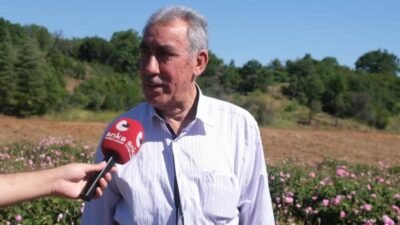 Isparta’nın Keçiborlu ilçesine bağlı Kozluca köyünde gül hasadı sürerken, üreticiler