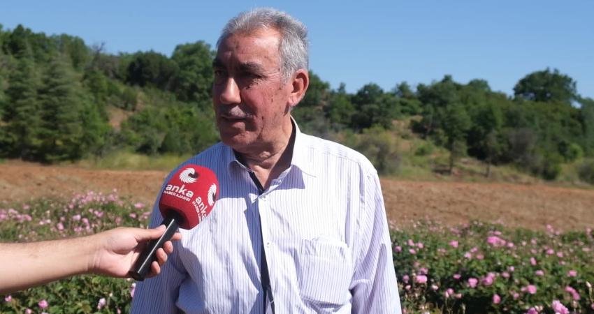Isparta’nın Keçiborlu ilçesine bağlı Kozluca köyünde gül hasadı sürerken, üreticiler