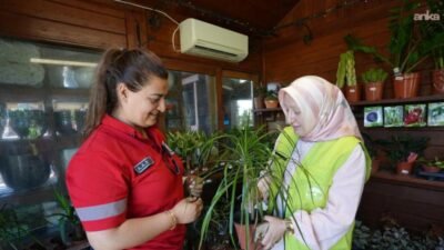 İstanbul Büyükşehir Belediyesi (İBB) iştiraki İstanbul Ağaç ve Peyzaj AŞ’nin
