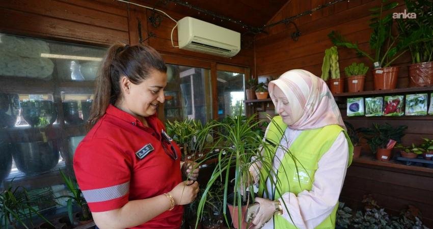 İstanbul Büyükşehir Belediyesi (İBB) iştiraki İstanbul Ağaç ve Peyzaj AŞ’nin