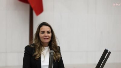 İYİ Parti Genel Başkan Yardımcısı Ayyüce Türkeş Taş, Avrupa Parlamentosu'nun