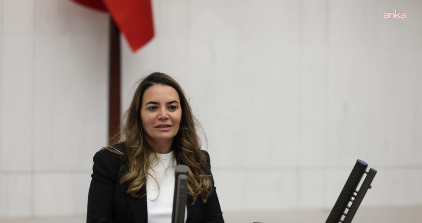 İYİ Parti Genel Başkan Yardımcısı Ayyüce Türkeş Taş, Avrupa Parlamentosu'nun