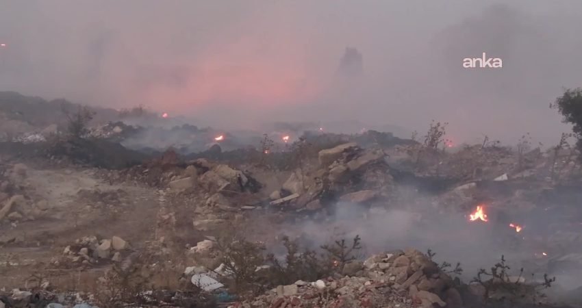 İzmir'in Dikili ilçesine bağlı Çandarlı Mahallesi'nde ziraat alanda başlayan yangın