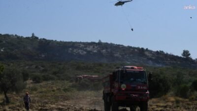 İzmir’in Urla ilçesine bağlı Balıklıova Mahallesi’nde çıkan orman yangınına İzmir