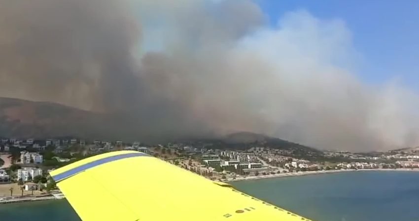 İzmir'in Dikili ilçesine bağlı Çandarlı Mahallesi'nde ziraat arazisinde başlayarak ormanlık