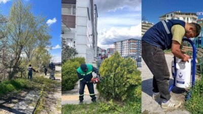 Kahramankazan Belediyesi Park ve Bahçeler Müdürlüğü ekipleri, ilçe genelinde yürüttüğü