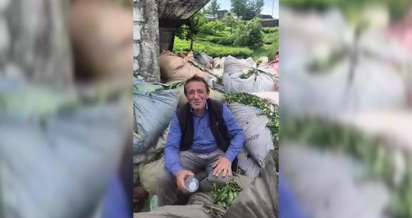  ÇAYKUR'un kota ve kontenjan uygulaması sonucu çayını satamayan üreticinin tepkisi
