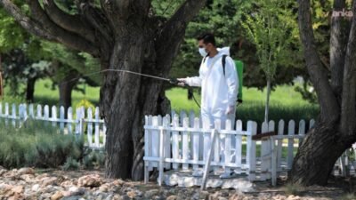 Keçiören Belediyesi, yaz aylarında artan sinek, böcek ve haşerelere karşı