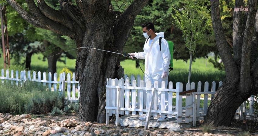 Keçiören Belediyesi, yaz aylarında artan sinek, böcek ve haşerelere karşı