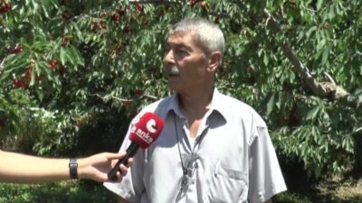Türkiye'nin kiraz üretiminde önemli merkezlerinden biri olan Isparta'nın Uluborlu ilçesinde