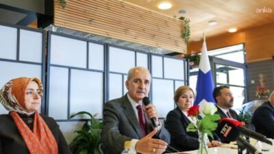 TBMM Başkanı Numan Kurtulmuş, Milli Dayanışma, Kardeşlik ve Demokrasi Komisyonu