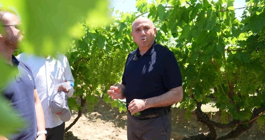 Manisa Büyükşehir Belediyesi, Sarıgöl ilçesine bağlı Çimentepe Mahallesi’nde tarımsal sulamada