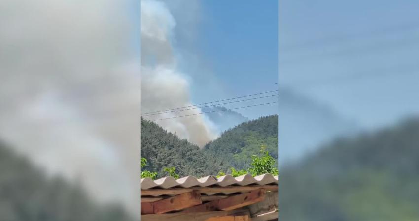 Manisa'nın Soma ilçesinde ormanlık alanda çıkan yangına havadan ve karadan