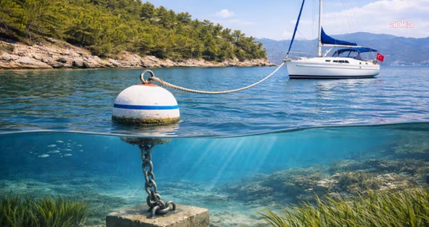 Çevre, Şehircilik ve İklim Değişikliği Bakanlığı’nca deniz çayırlarını korumak ve