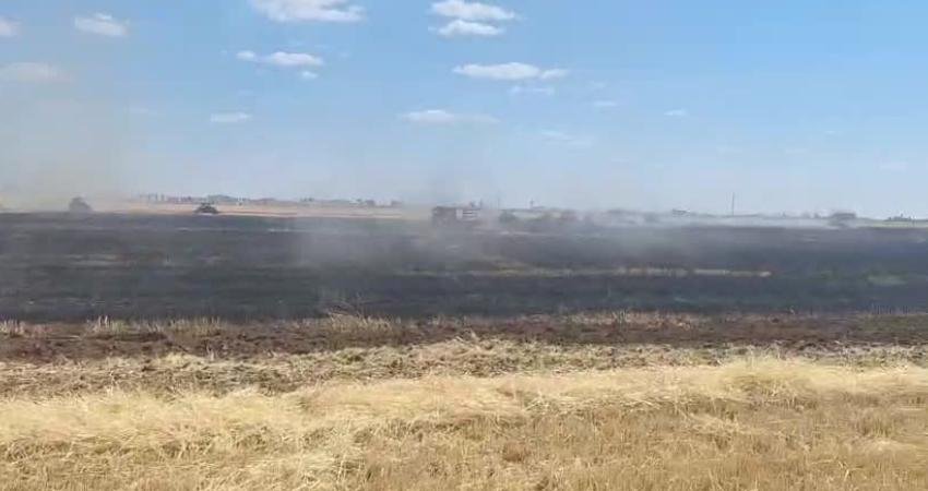 Mardin’in Nusaybin ve Kızıltepe ilçelerinde çıkan yangınlarda yaklaşık 230 dönüm