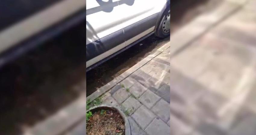 Mardin'in Ömerli ilçesinde, Hükümet Konağı'nın önüne kadar taşan kanalizasyon suları