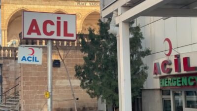Mardin’in Nusaybin ilçesinde bariyerlere çarpan hafif ticari araçta bulunan 1