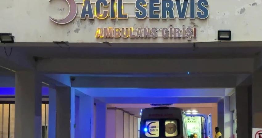 Mardin'de Kızıltepe-Nusaybin kara yolunda iki aile arasında bayramın ikinci gününde
