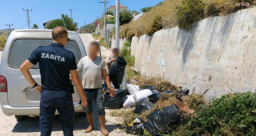 Marmaris Belediyesi ekipleri, çevre kirliliğine neden olan bahçe ve çim