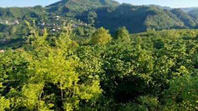Dokuz güne çıkarılan Kurban Bayramı tatilinde, doğup büyüdüğü, ayak izlerinin