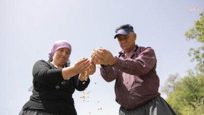 Mersin Büyükşehir Belediyesi Tarımsal Hizmetler Dairesi Başkanlığı tarafından yürütülen "Yerel