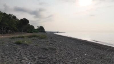 Mersin Büyükşehir Belediyesi, Dünya Çevre Haftası etkinlikleri kapsamında Erdemli Kocahasanlı