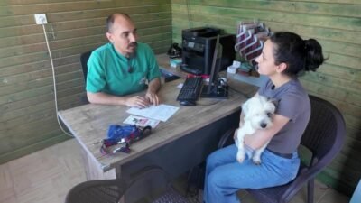 Mersin Büyükşehir Belediyesi tarafından hayata geçirilen "Yaşamı Sahiplen Destek Büyükşehir’den" kampanyası