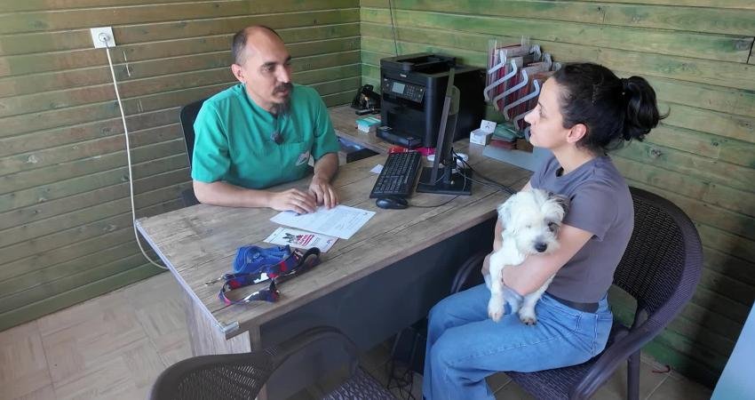 Mersin Büyükşehir Belediyesi tarafından hayata geçirilen "Yaşamı Sahiplen Destek Büyükşehir’den" kampanyası