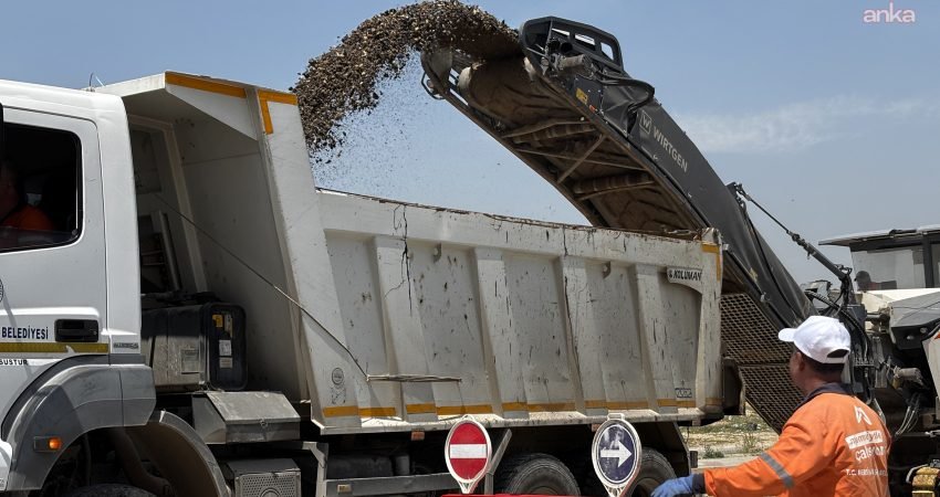 Mersin Büyükşehir Belediyesi Yol Yapım Bakım ve Onarım Dairesi Başkanlığı,