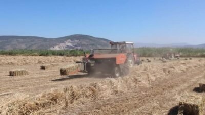 Kıyı Belediyeler Birliği ve Muğla Büyükşehir Belediye Başkanı Ahmet Aras,