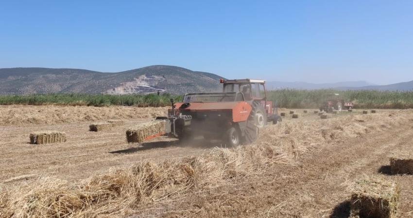 Kıyı Belediyeler Birliği ve Muğla Büyükşehir Belediye Başkanı Ahmet Aras,