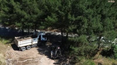 Muğla Büyükşehir Belediyesi, kentin doğasını ve çevresini korumak için fotokapandan