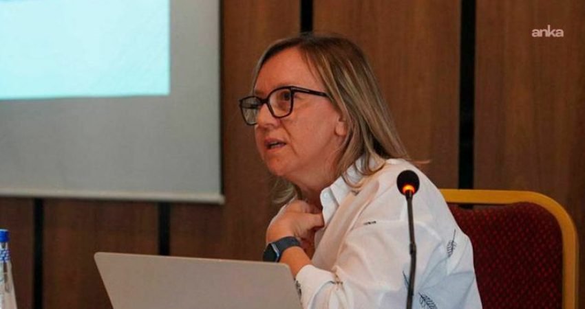 NATO Zirvesi öncesi düzenlenen operasyonlarda tutuklanan akademisyen Doç. Dr. Emel