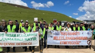 Ordu Çevre Derneği'nden ekoloji mücadelesi ortaklaştırılma çağrısında, "Doğayı savunmak kişisel